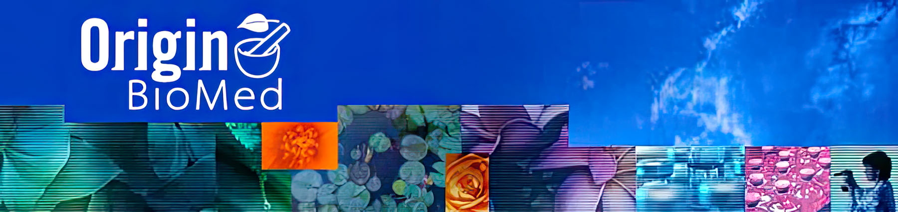 Web header 2008